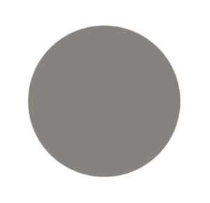 Quaker Gray color swatch