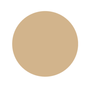 Rawhide Tan color swatch