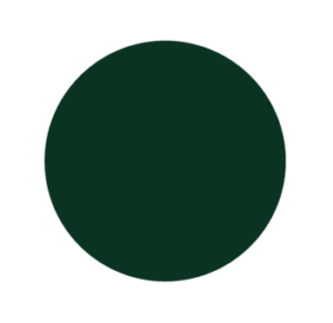 Green color swatch