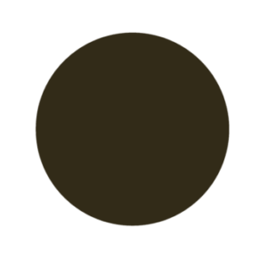 Burnished Slate color swatch
