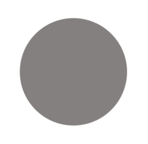Pewter Gray color swatch
